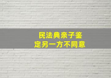 民法典亲子鉴定另一方不同意