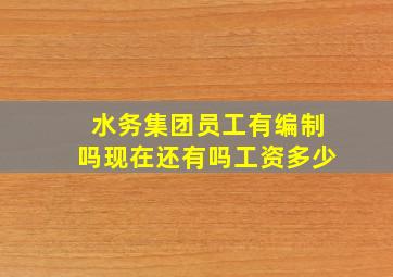 水务集团员工有编制吗现在还有吗工资多少