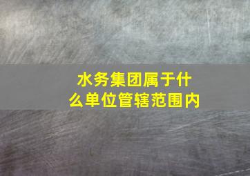 水务集团属于什么单位管辖范围内