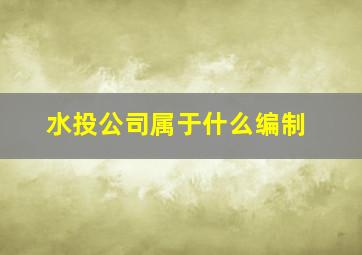 水投公司属于什么编制