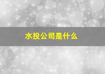 水投公司是什么