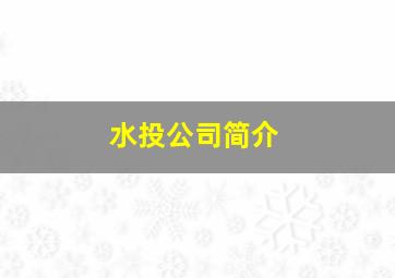 水投公司简介