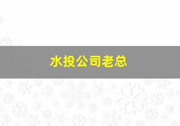 水投公司老总