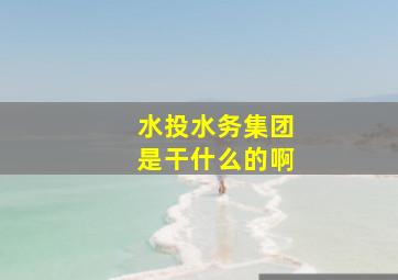 水投水务集团是干什么的啊