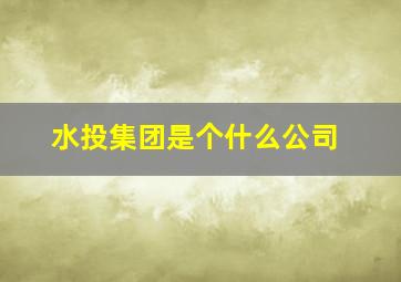 水投集团是个什么公司