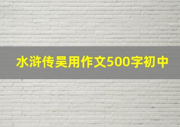 水浒传吴用作文500字初中