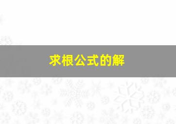 求根公式的解