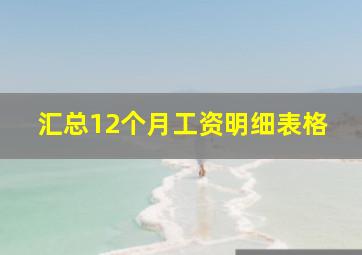 汇总12个月工资明细表格