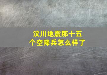 汶川地震那十五个空降兵怎么样了