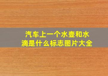 汽车上一个水壶和水滴是什么标志图片大全