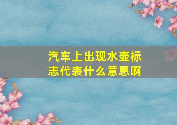 汽车上出现水壶标志代表什么意思啊