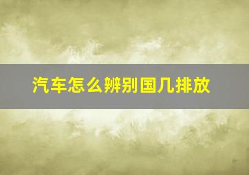 汽车怎么辨别国几排放