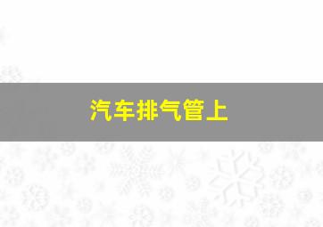 汽车排气管上