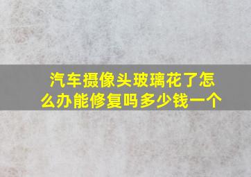 汽车摄像头玻璃花了怎么办能修复吗多少钱一个