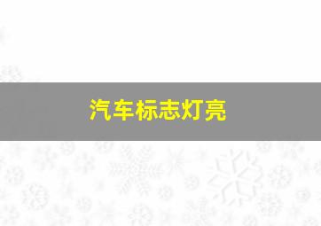 汽车标志灯亮