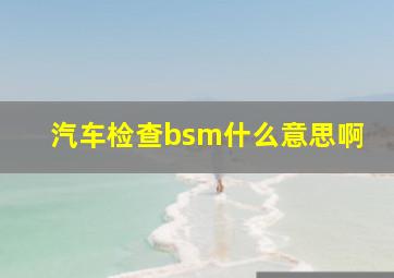 汽车检查bsm什么意思啊