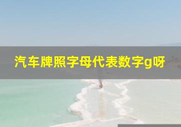 汽车牌照字母代表数字g呀