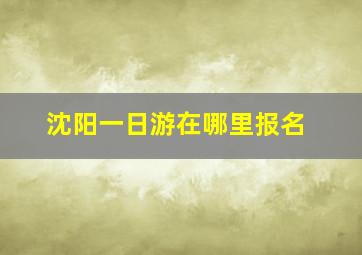 沈阳一日游在哪里报名