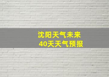 沈阳天气未来40天天气预报