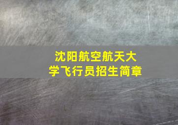 沈阳航空航天大学飞行员招生简章