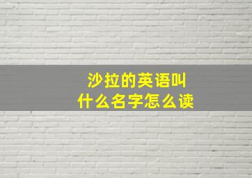 沙拉的英语叫什么名字怎么读