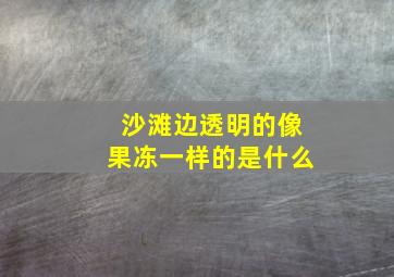 沙滩边透明的像果冻一样的是什么