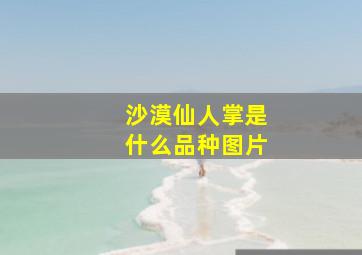 沙漠仙人掌是什么品种图片