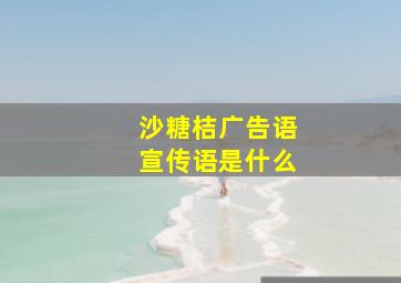 沙糖桔广告语宣传语是什么