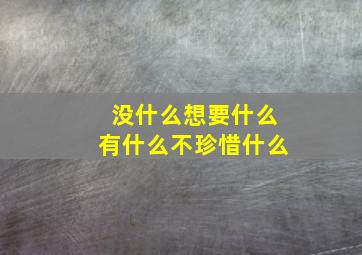 没什么想要什么有什么不珍惜什么