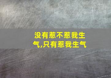 没有惹不惹我生气,只有惹我生气