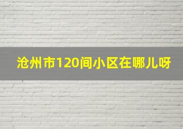 沧州市120间小区在哪儿呀