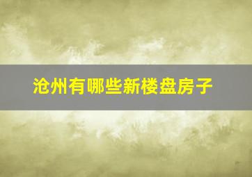 沧州有哪些新楼盘房子