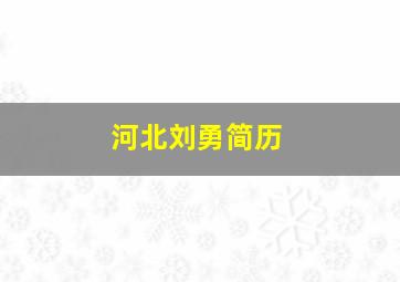 河北刘勇简历