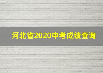 河北省2020中考成绩查询