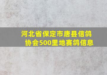 河北省保定市唐县信鸽协会500里地赛鸽信息