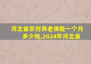 河北省农村养老保险一个月多少钱,2024年河北省