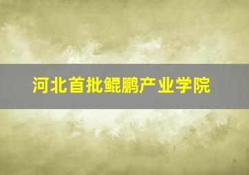 河北首批鲲鹏产业学院