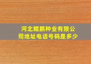 河北鲲鹏种业有限公司地址电话号码是多少