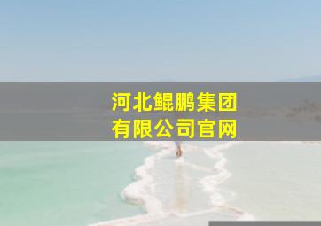 河北鲲鹏集团有限公司官网