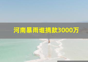 河南暴雨谁捐款3000万