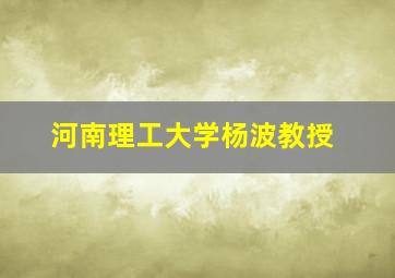 河南理工大学杨波教授