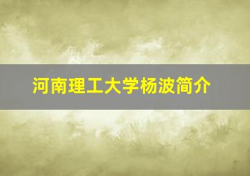 河南理工大学杨波简介