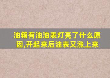 油箱有油油表灯亮了什么原因,开起来后油表又涨上来