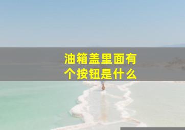 油箱盖里面有个按钮是什么