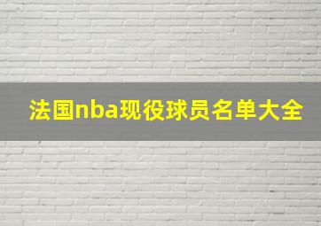 法国nba现役球员名单大全