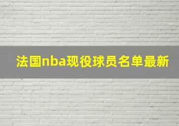 法国nba现役球员名单最新