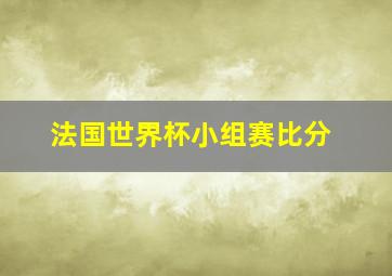 法国世界杯小组赛比分