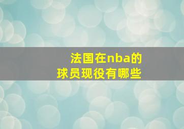 法国在nba的球员现役有哪些