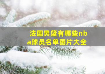 法国男篮有哪些nba球员名单图片大全