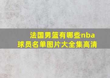 法国男篮有哪些nba球员名单图片大全集高清